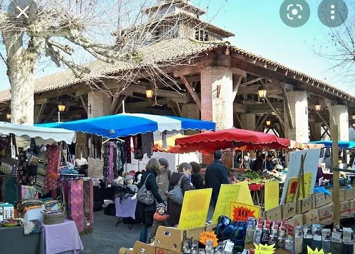 Magnifique Avec Piscine Et * Merville (Haute-Garonne)